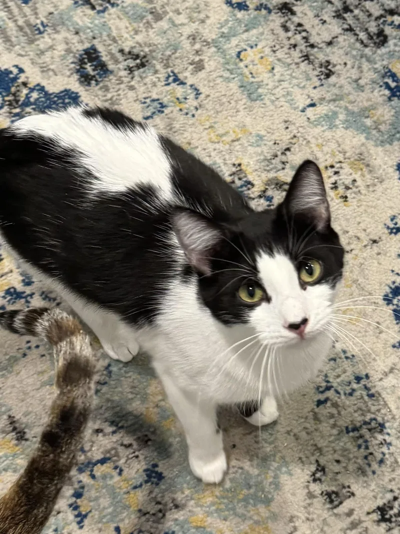 Mcsteamy thumbnail 5