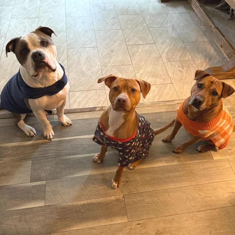 Lil Weezy thumbnail 2