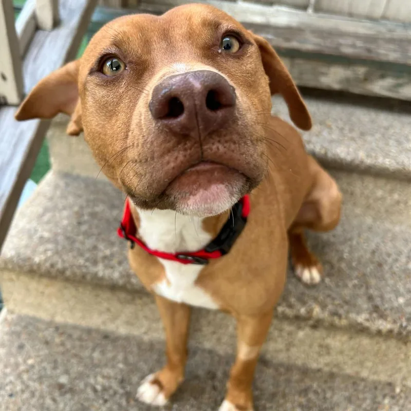 Lil Weezy thumbnail 3