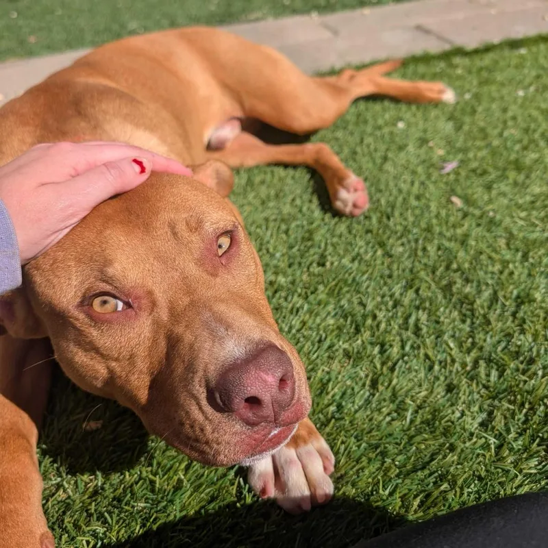 Lil Weezy thumbnail 4