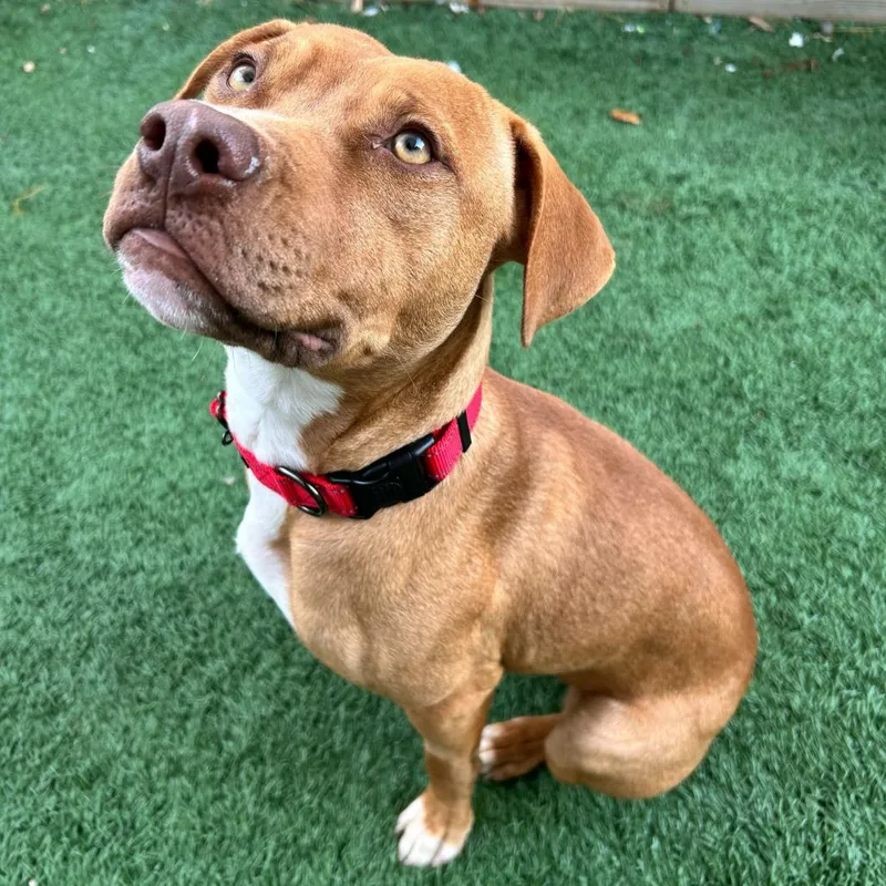 Lil Weezy thumbnail 5