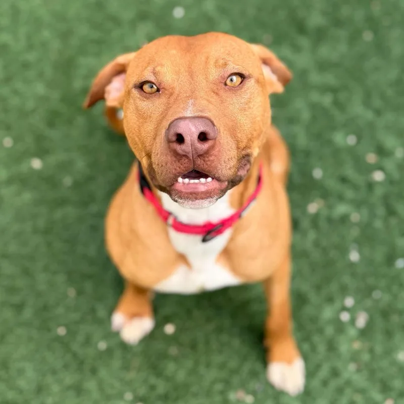 Lil Weezy thumbnail 6