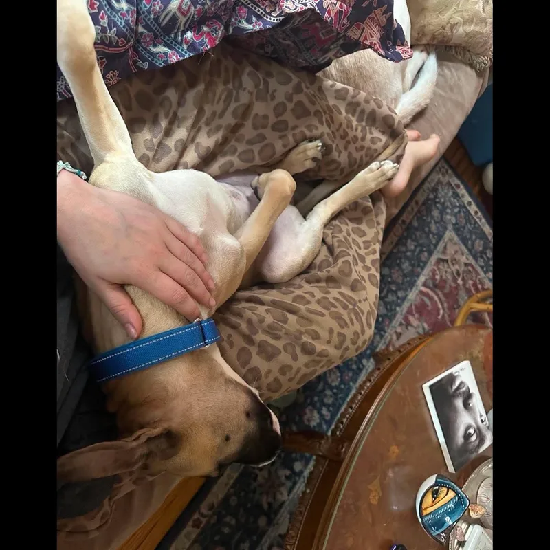 Molly thumbnail 6