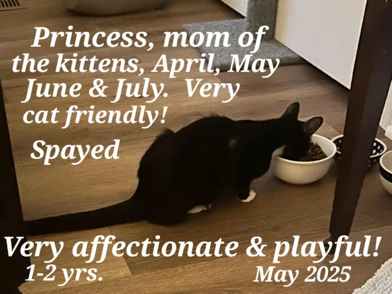 Princess thumbnail 2