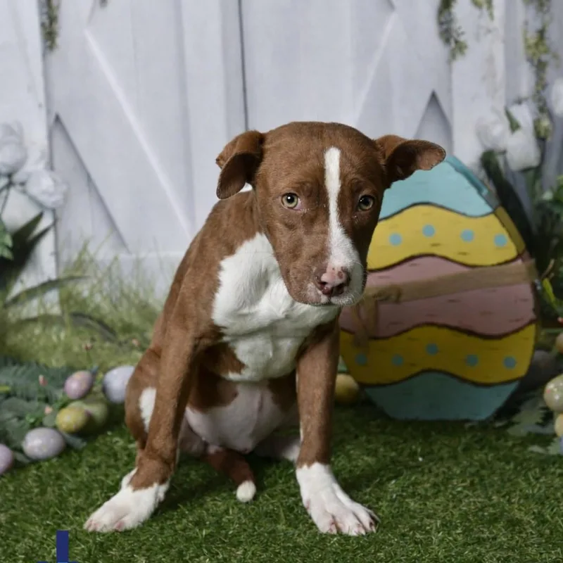 Burnadette thumbnail 2