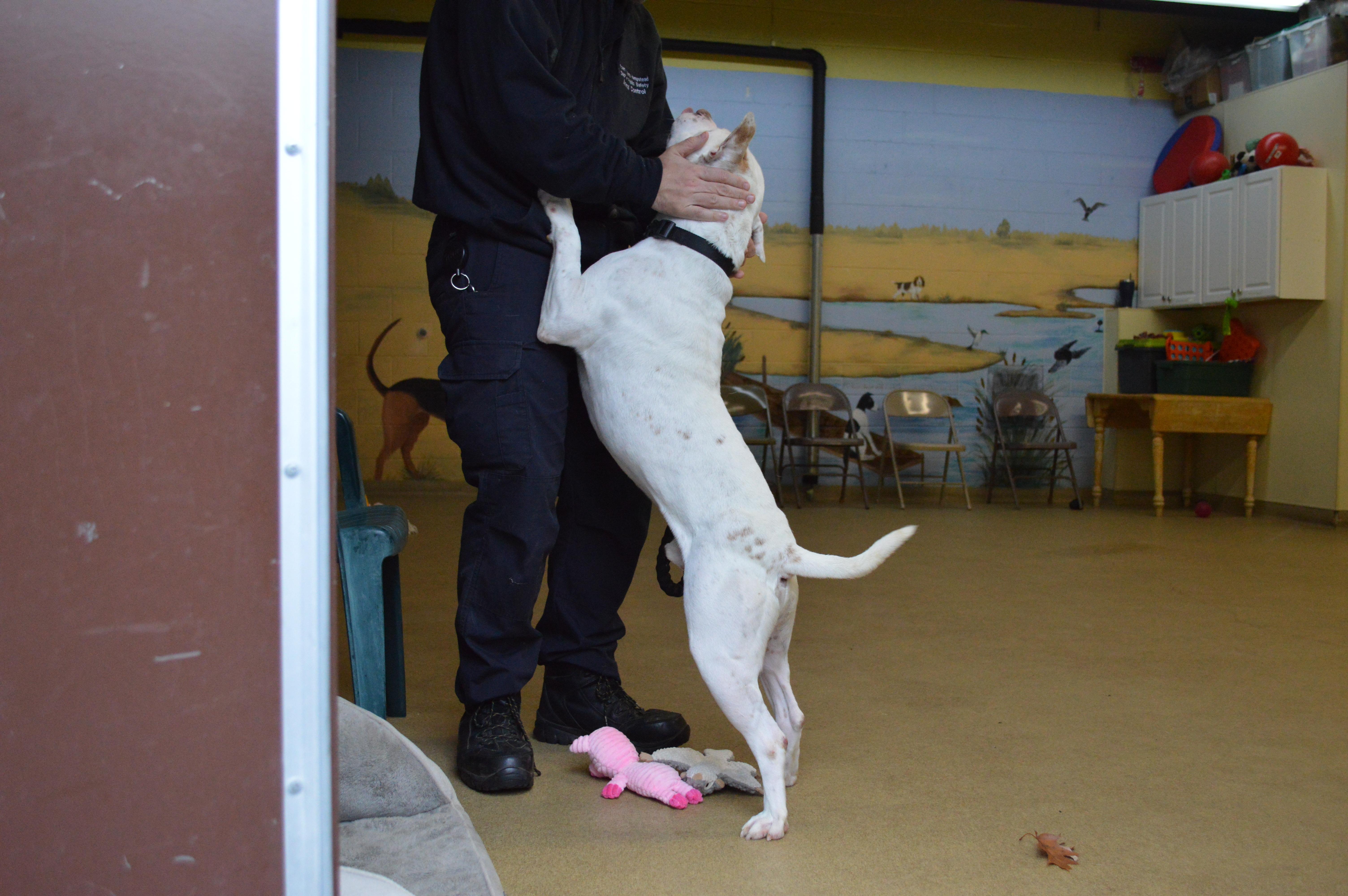 Boo Radley thumbnail 3