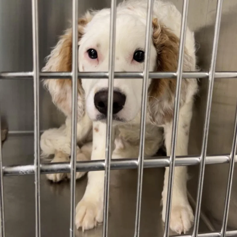 Guinness thumbnail 2