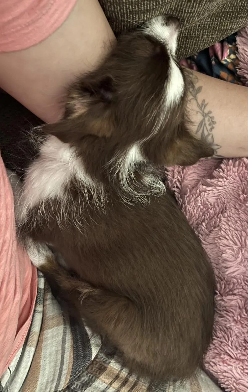 Tennessee thumbnail 2