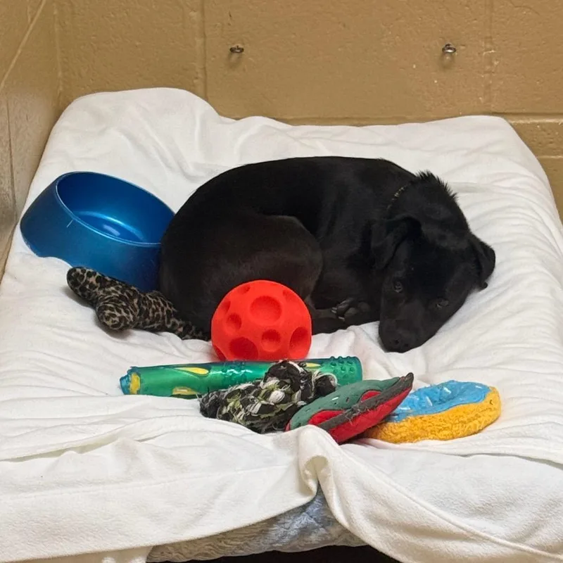 Sea Weed thumbnail 3