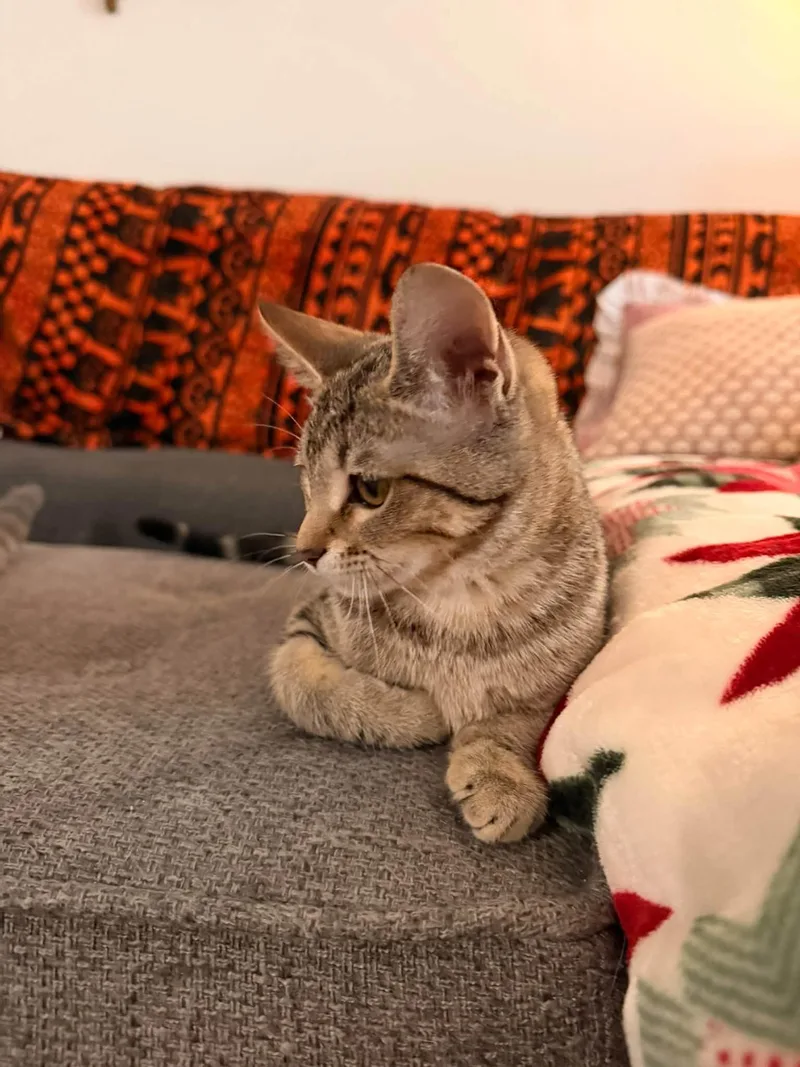 Stormi