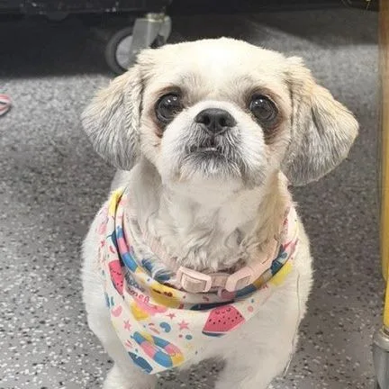 Rosie