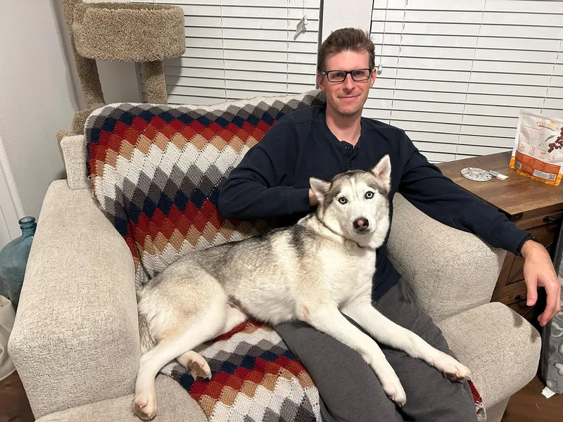 A young medium-sized female Husky dog named Mocha for adoption in santa monica, CA