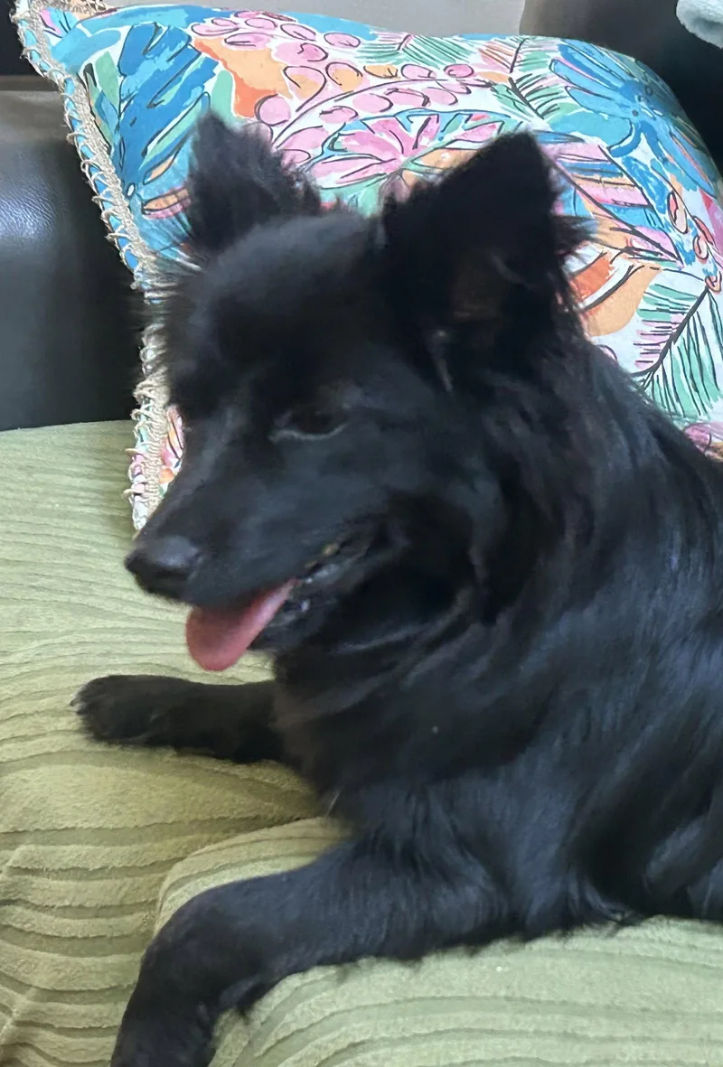 Mavis aka MaeMae thumbnail 2