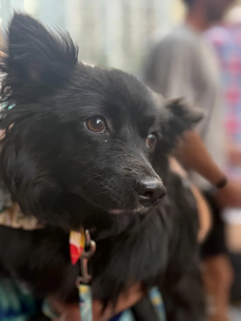 Mavis aka MaeMae thumbnail 3
