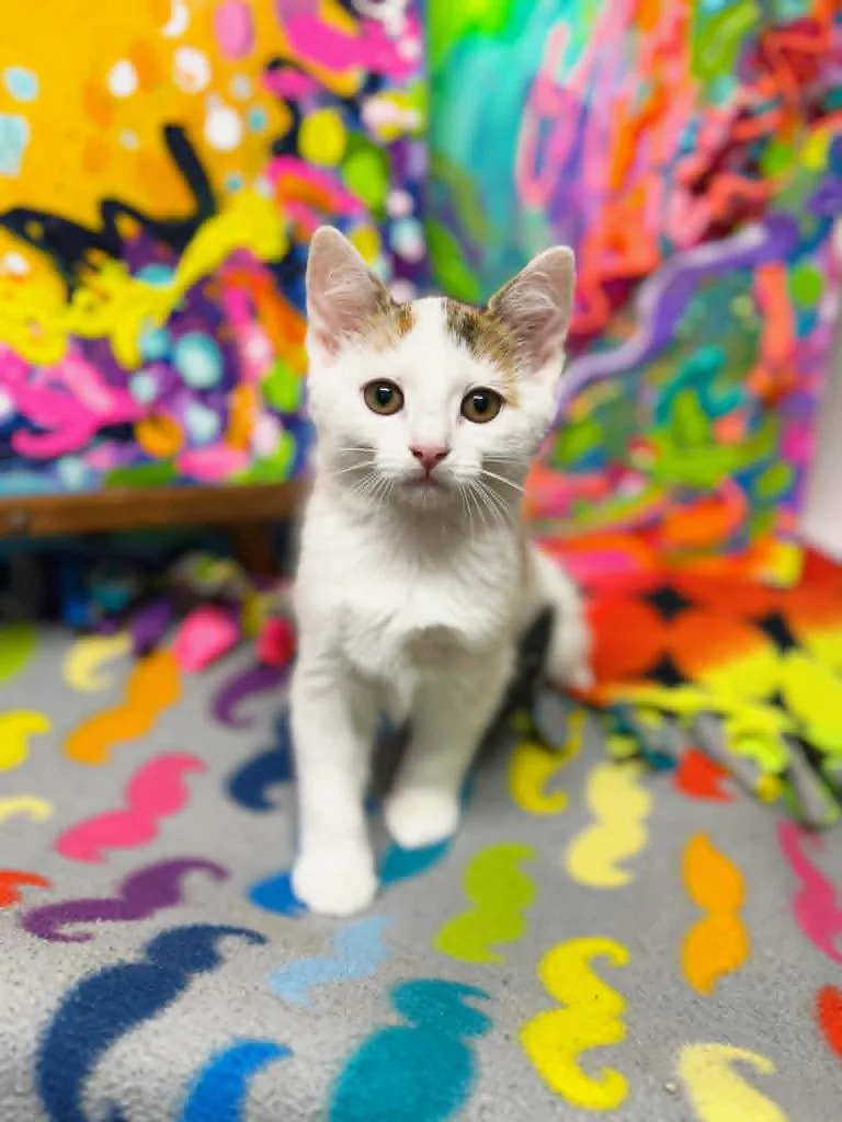 Graffiti thumbnail 4