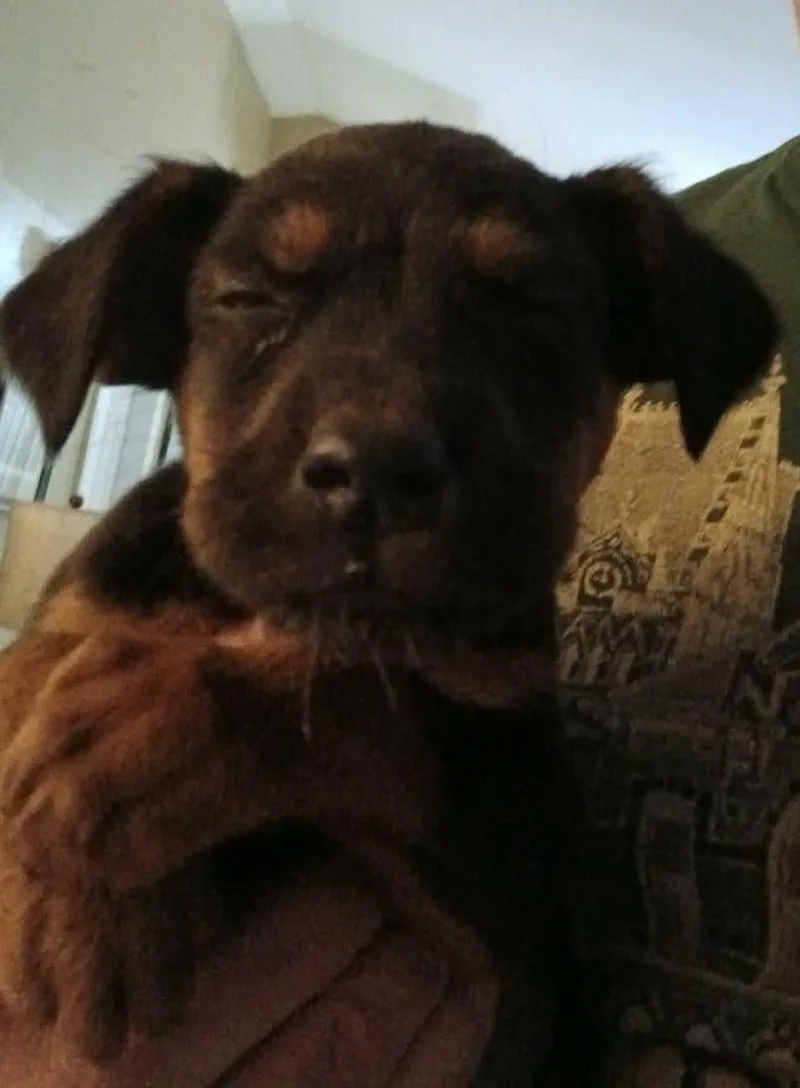 Lennie
