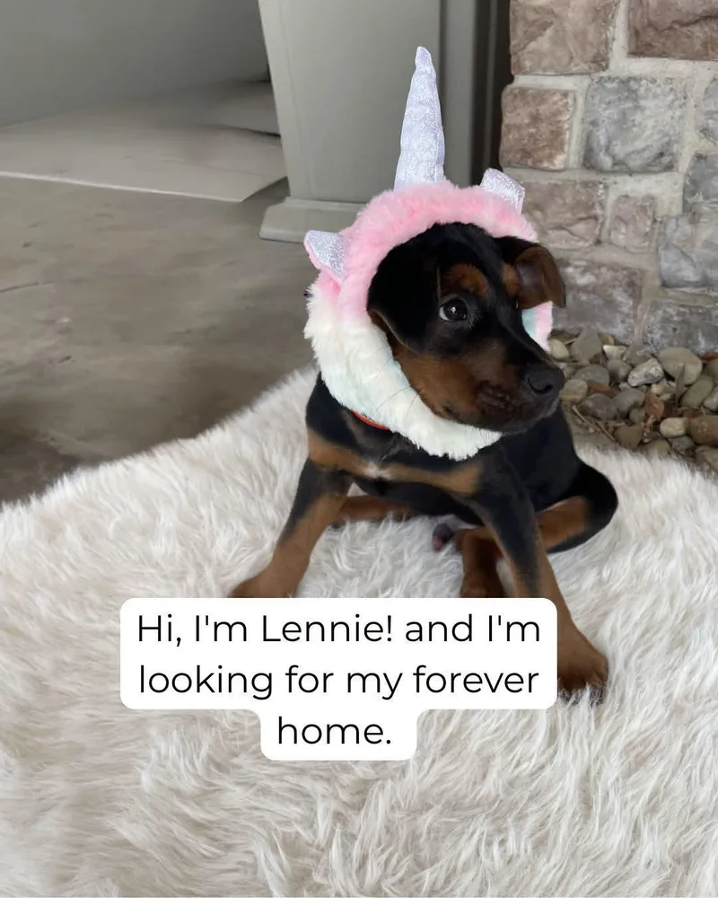 Lennie thumbnail 2