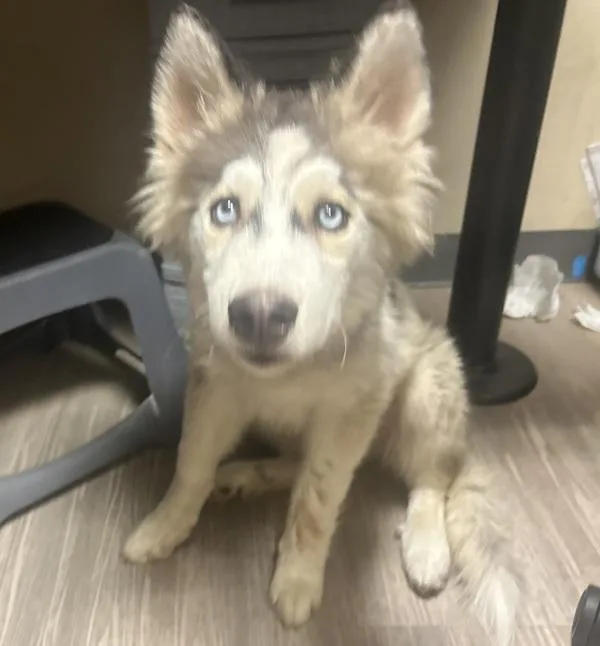 Max