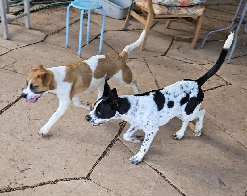 Georgette thumbnail 2