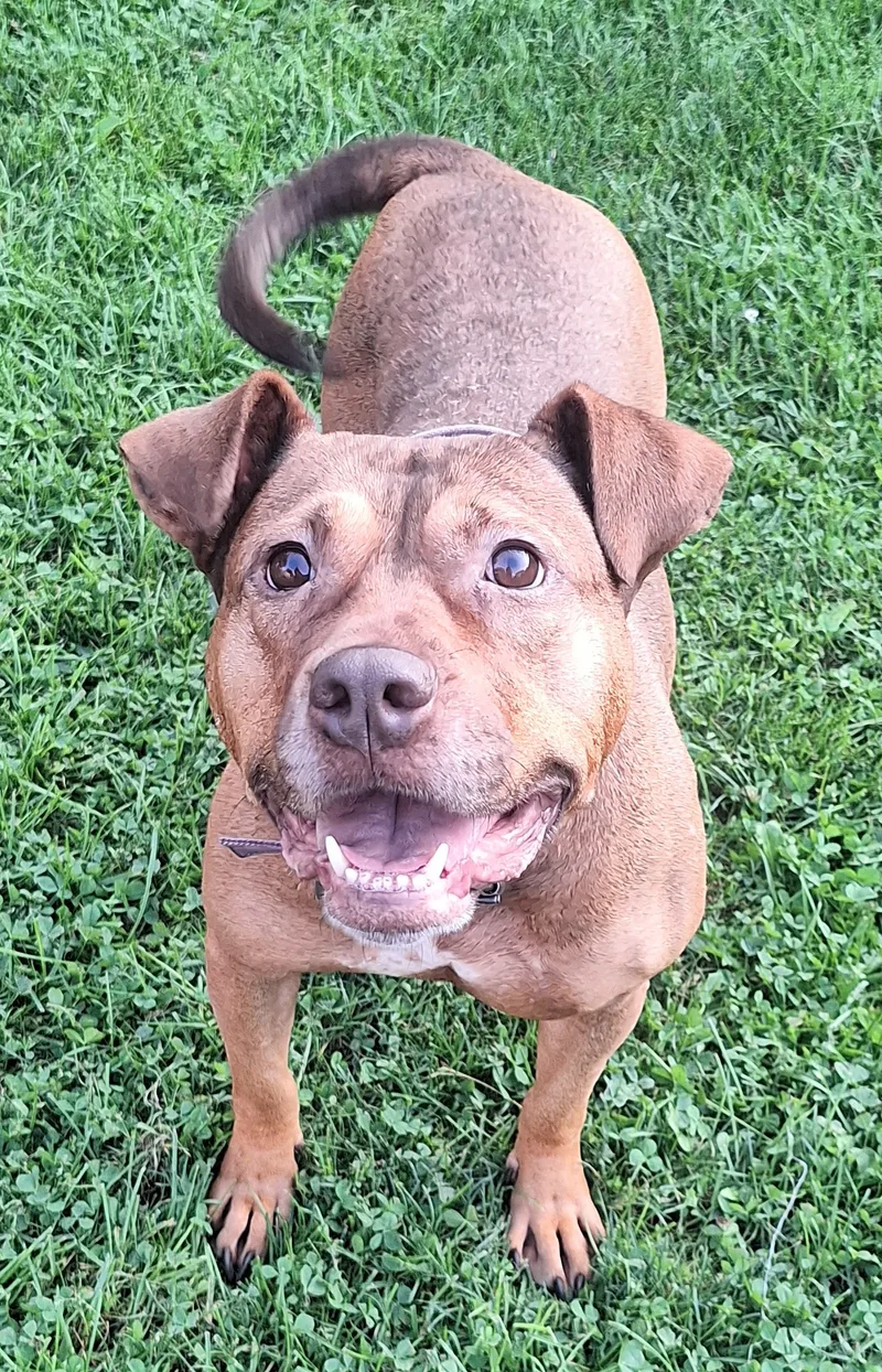 Chanelle thumbnail 3