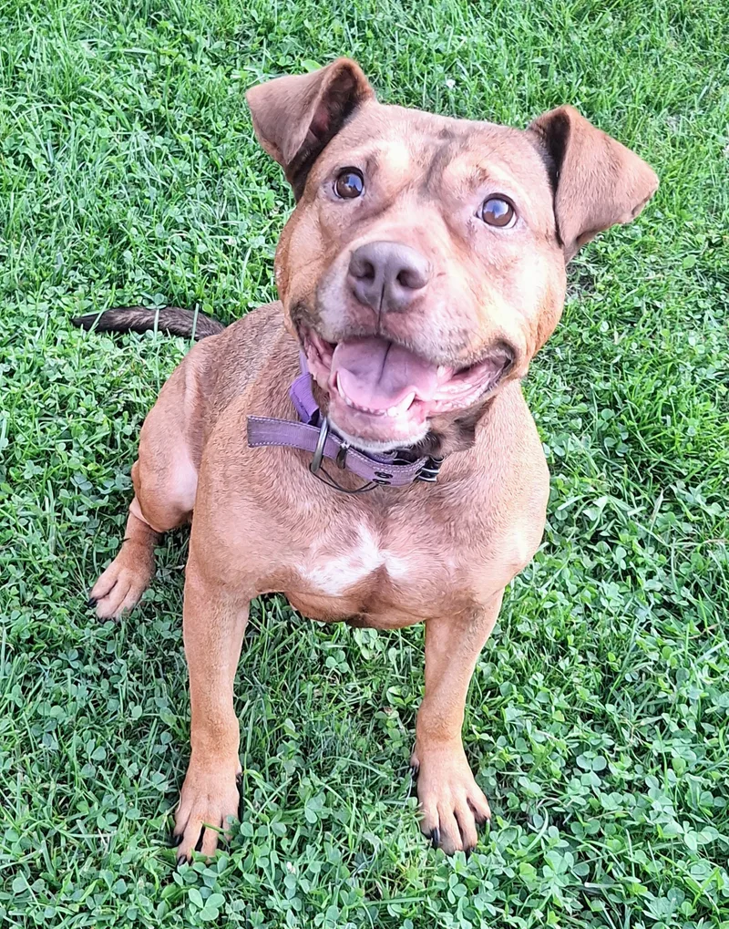 Chanelle thumbnail 5