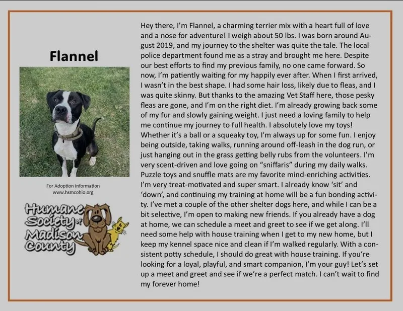 Flannel thumbnail 2