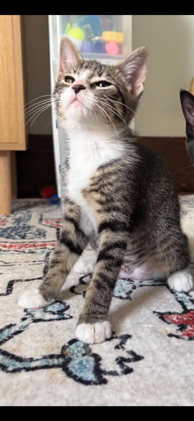 Pequeña