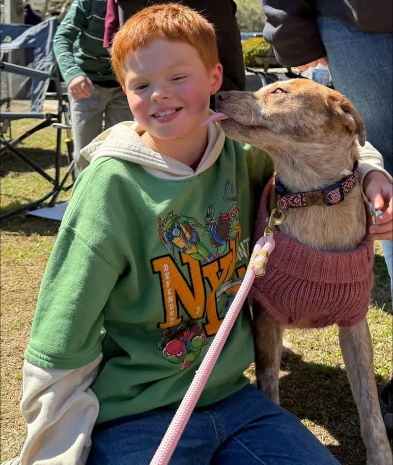 Cinnamon thumbnail 3