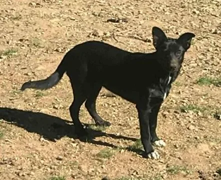 Jessica And June  thumbnail 2