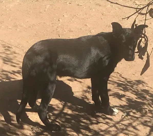 Jessica And June  thumbnail 3