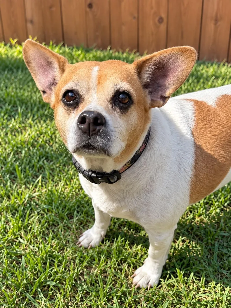 Mindy thumbnail 4