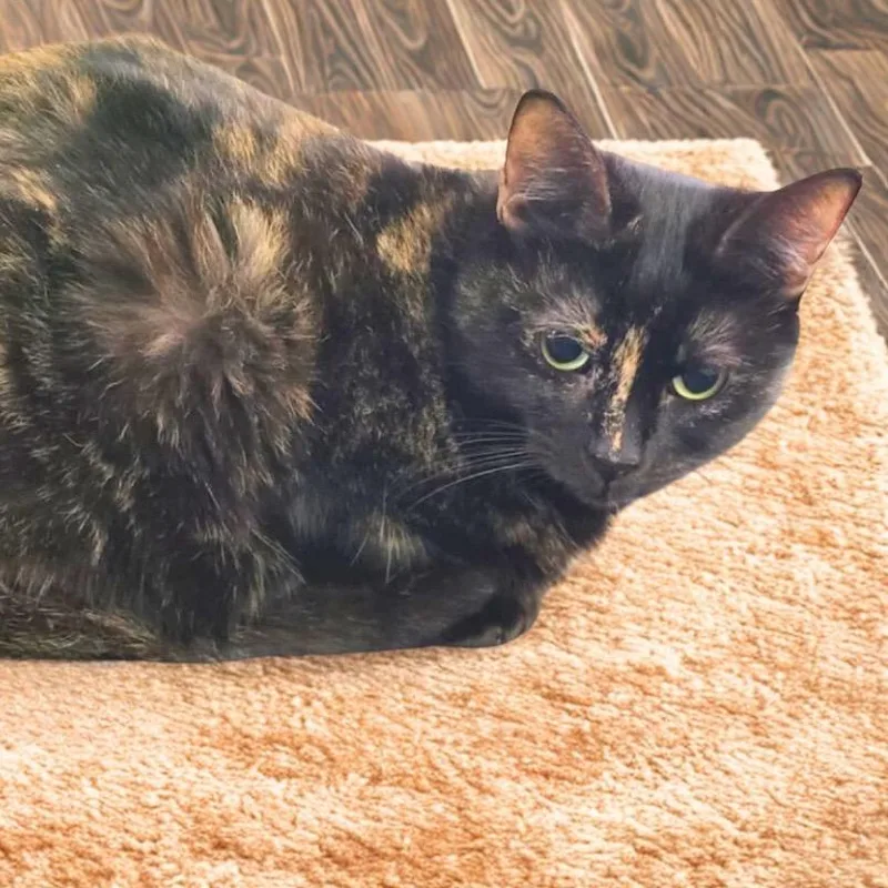 Michelle thumbnail 2