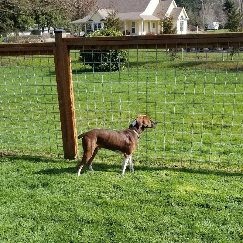 Cappuccino thumbnail 3