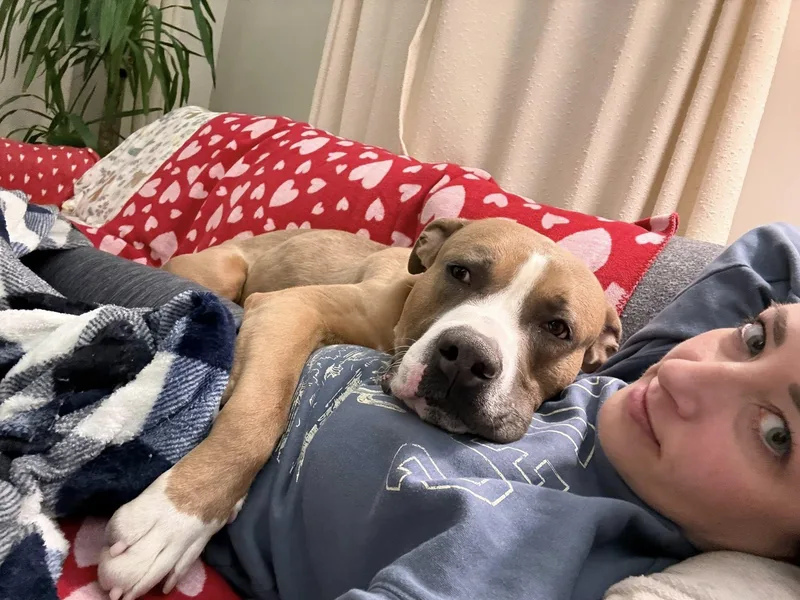 Chadwick thumbnail 6