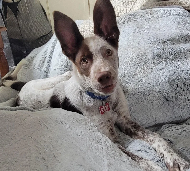 Gold Mine thumbnail 2