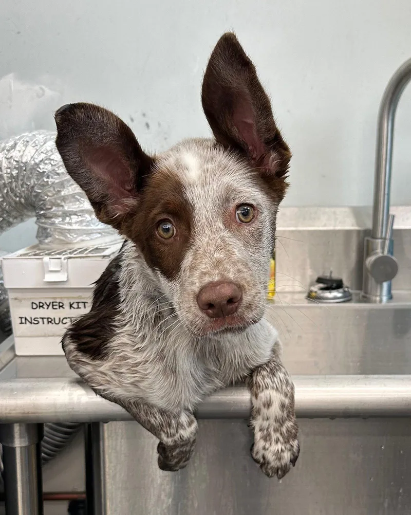 Gold Mine thumbnail 3