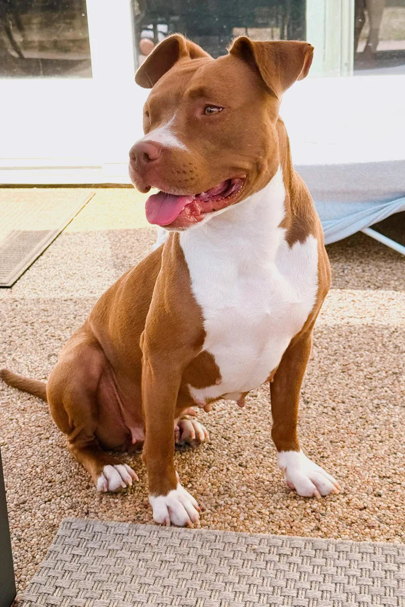 Star thumbnail 6