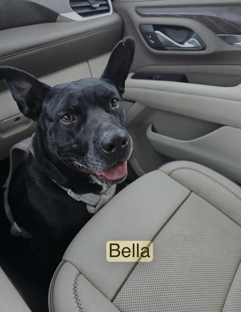 Bella Yates thumbnail 3