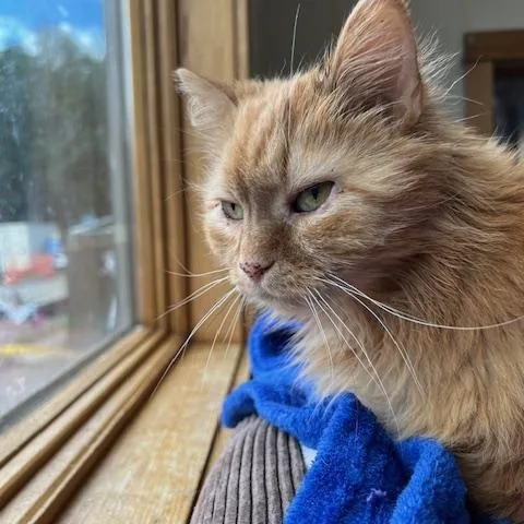 Mary Anne thumbnail 2