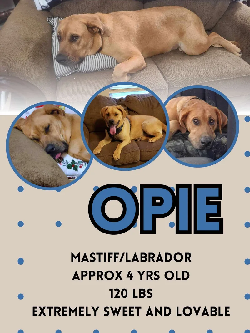 Opie
