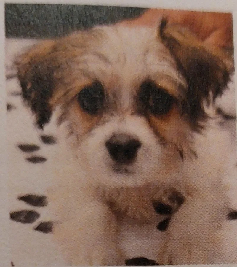 Willatuscarawas thumbnail 2