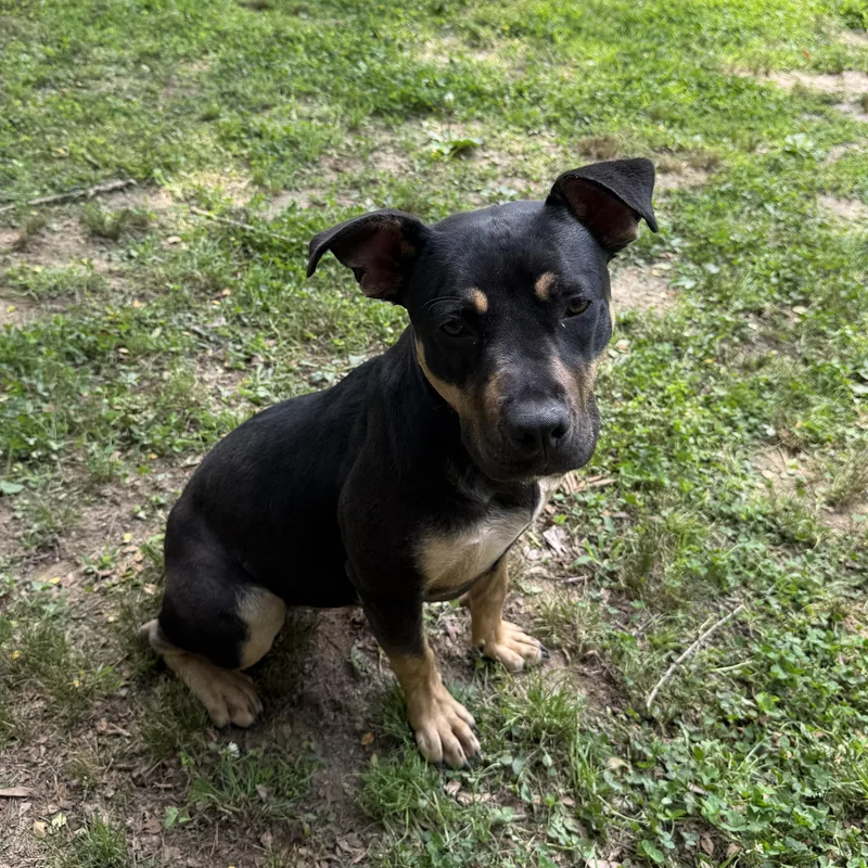 Molly Mae