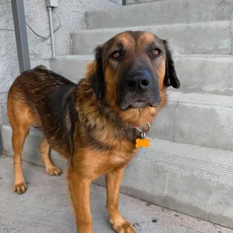 Zeus