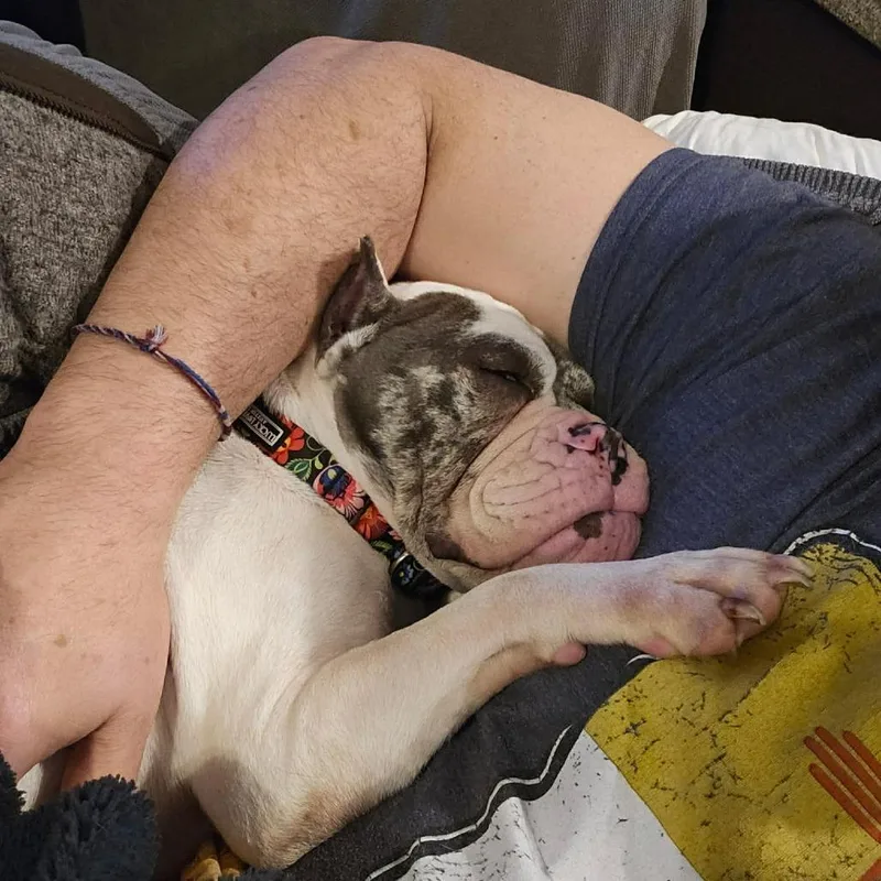 Reece Wigglespoon thumbnail 4