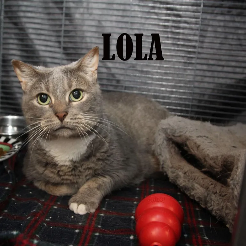 Lola