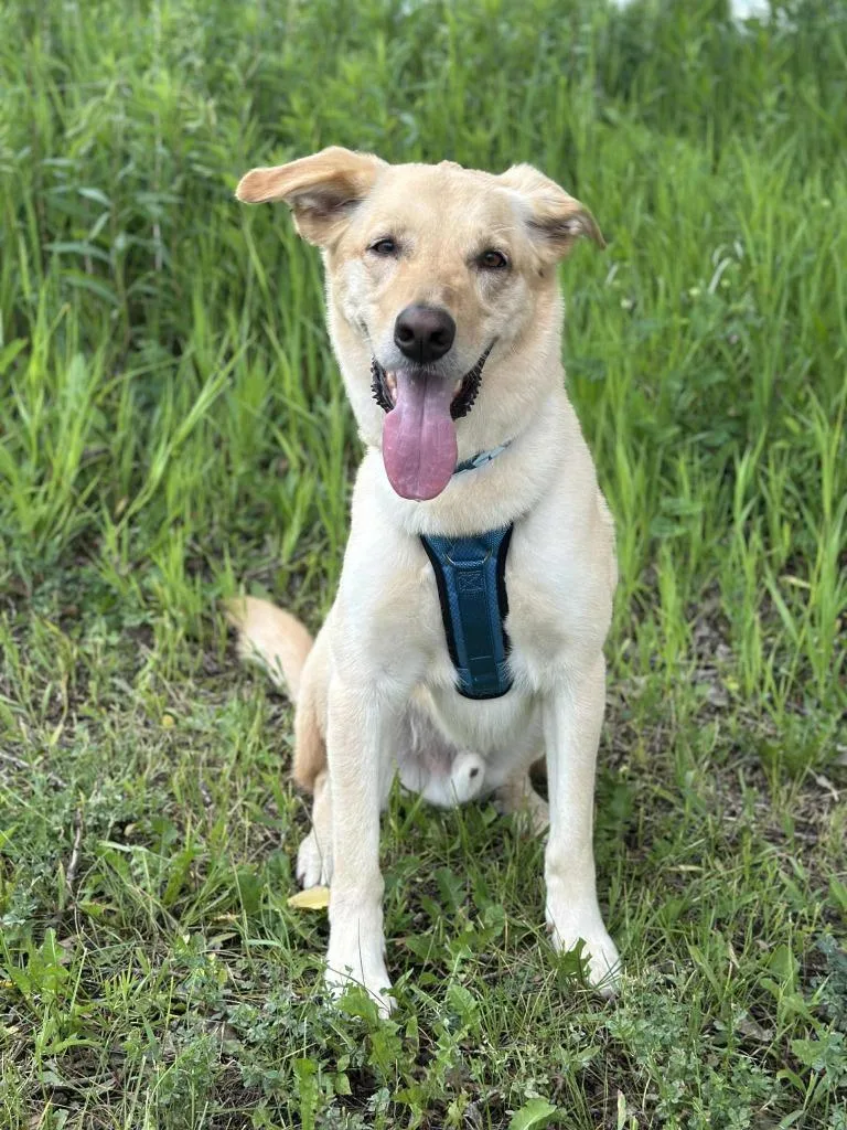 Bing Crosby thumbnail 4