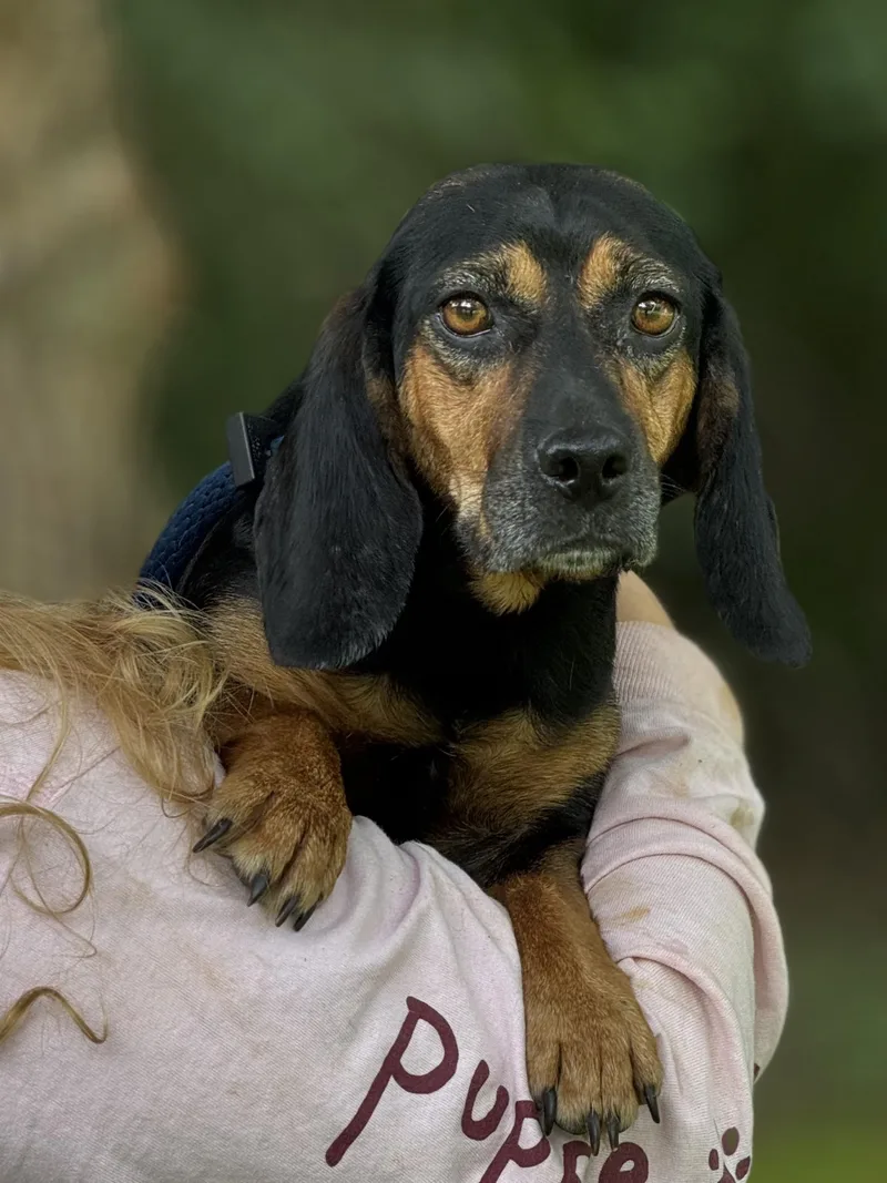 Lottie Mae thumbnail 4