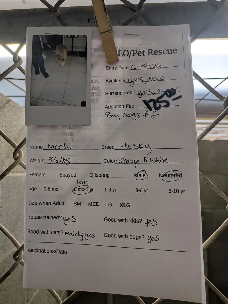 Mochi