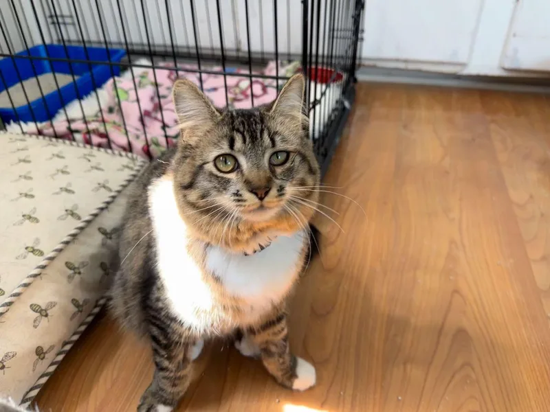 Greta Garbo thumbnail 3