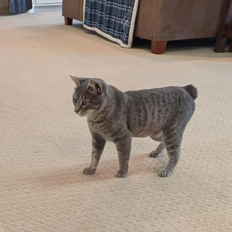 Brittany Davis thumbnail 2